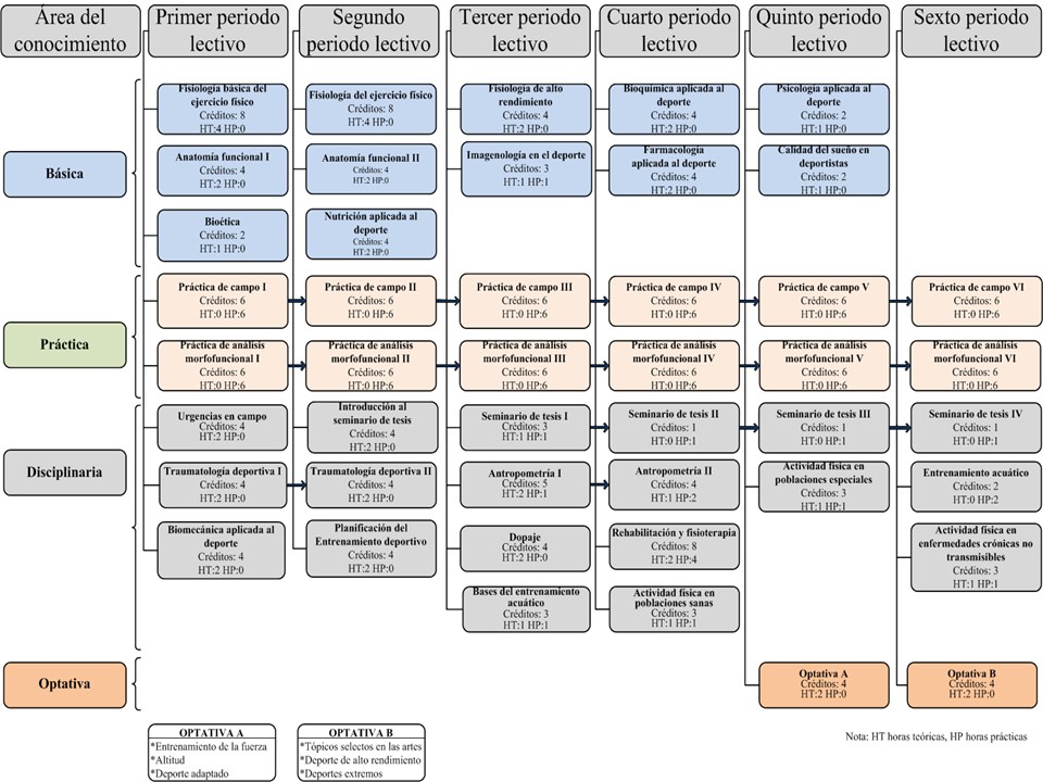 Mapa curricular